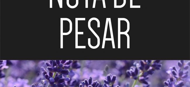 Nota de pesar pelo falecimento dos Servidores Francisco Batista e Luiz Honofre.