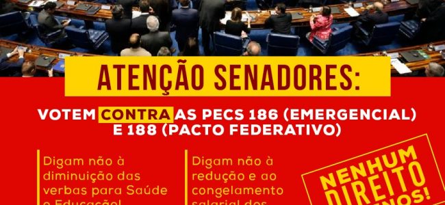 Defesa do Serviço Público | SINASEFE denuncia aos senadores os ataques aos servidores públicos contidos nas PECs Emergencial (186/2019) e do Pacto Federativo (188/2019)